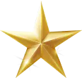 Gold Star